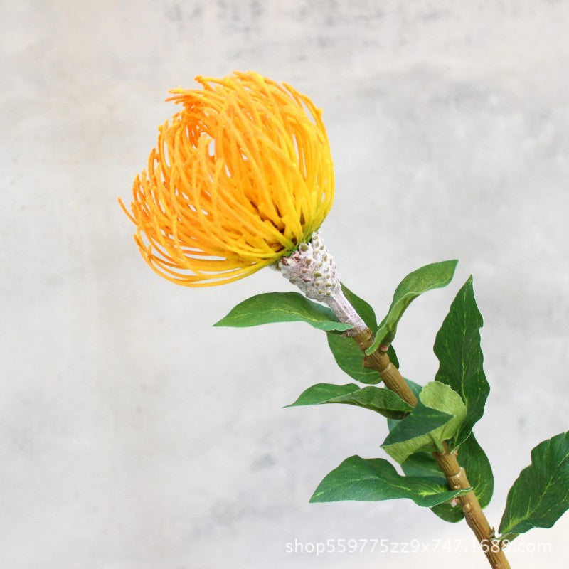 Realistische Protea-Blumenstiel