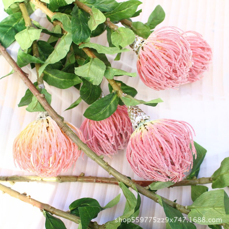 Realistische Protea-Blumenstiel
