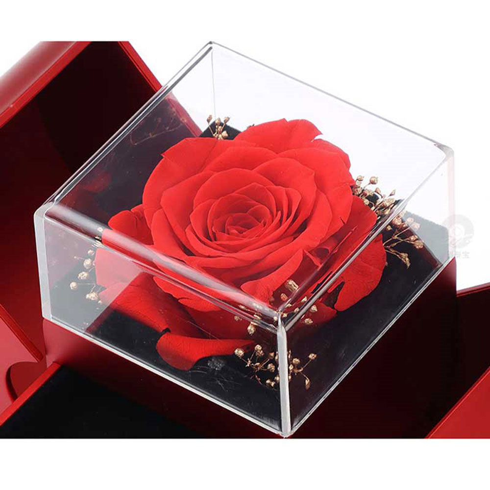 Rote Apfel Schmuckbox mit ewiger Rose und Halskette | Karnz