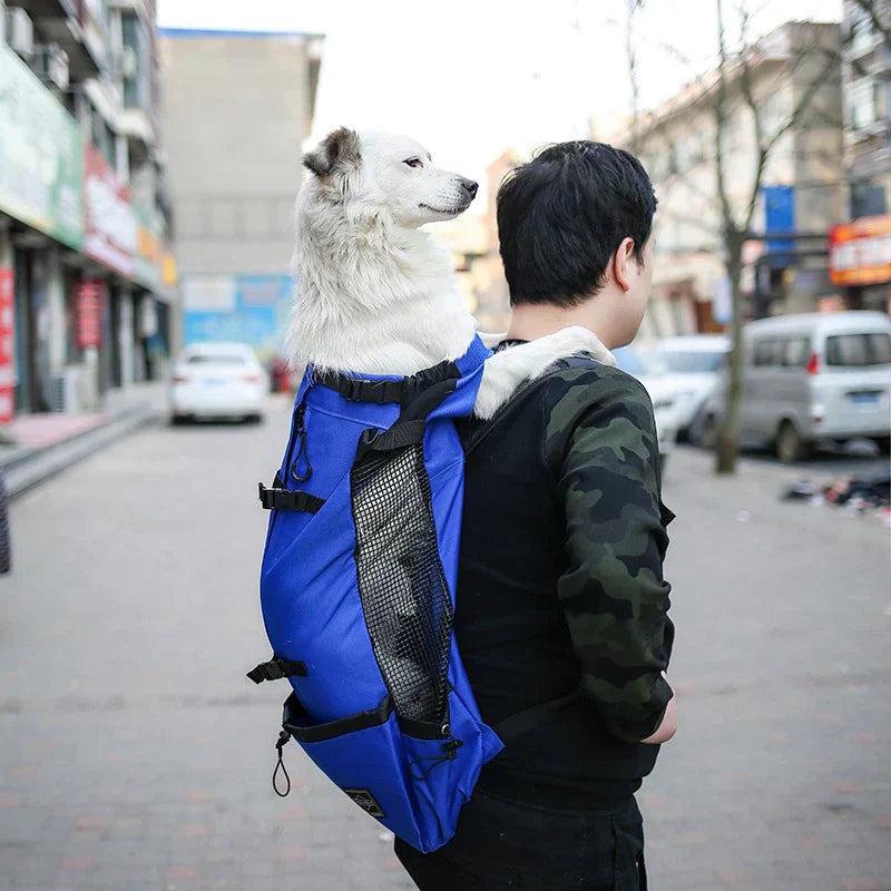 Hunde-Rucksack – Bequeme Tragetasche für mittelgroße Hunde mit Sicherheitsgurt und Aufbewahrungstaschen