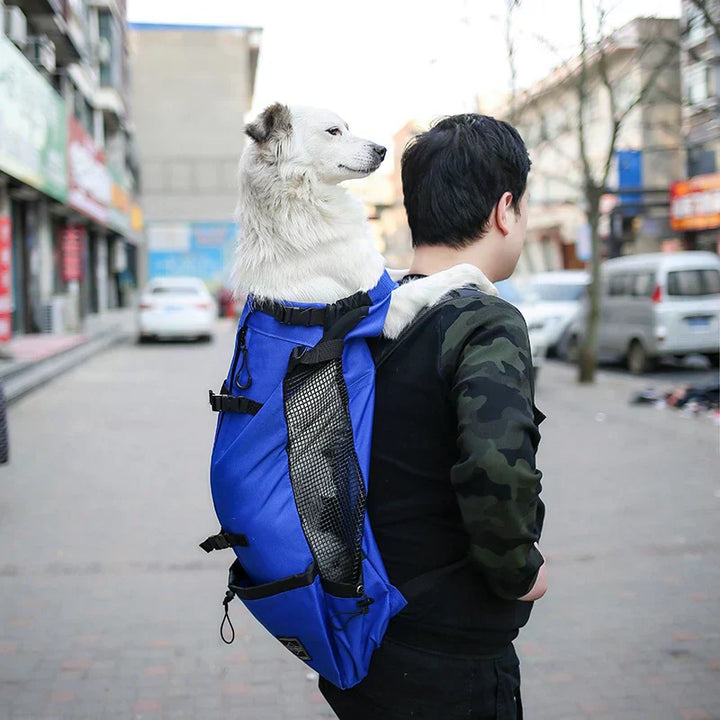 Hunde-Rucksack – Bequeme Tragetasche für mittelgroße Hunde mit Sicherheitsgurt und Aufbewahrungstaschen