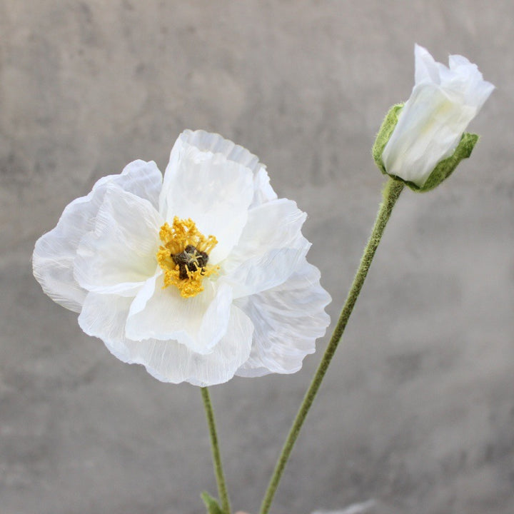 Elegante dekorative florale Akzent