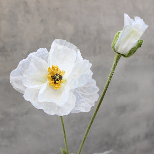 Elegante dekorative florale Akzent