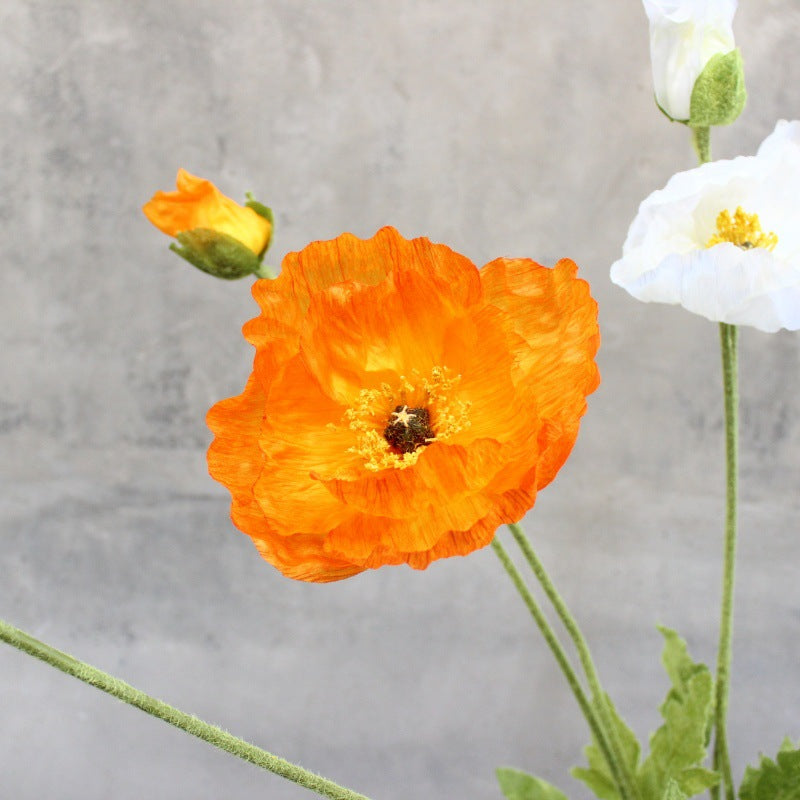 Elegante dekorative florale Akzent
