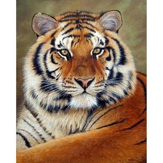 Tiger-Porträt - GemPaint-Kit | Karnz