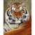 Tiger-Porträt - GemPaint-Kit | Karnz