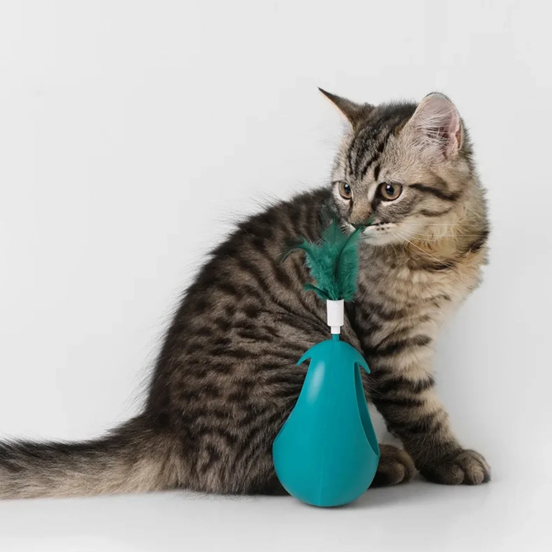 Catnip Ball Tumbler Spielzeug | Karnz