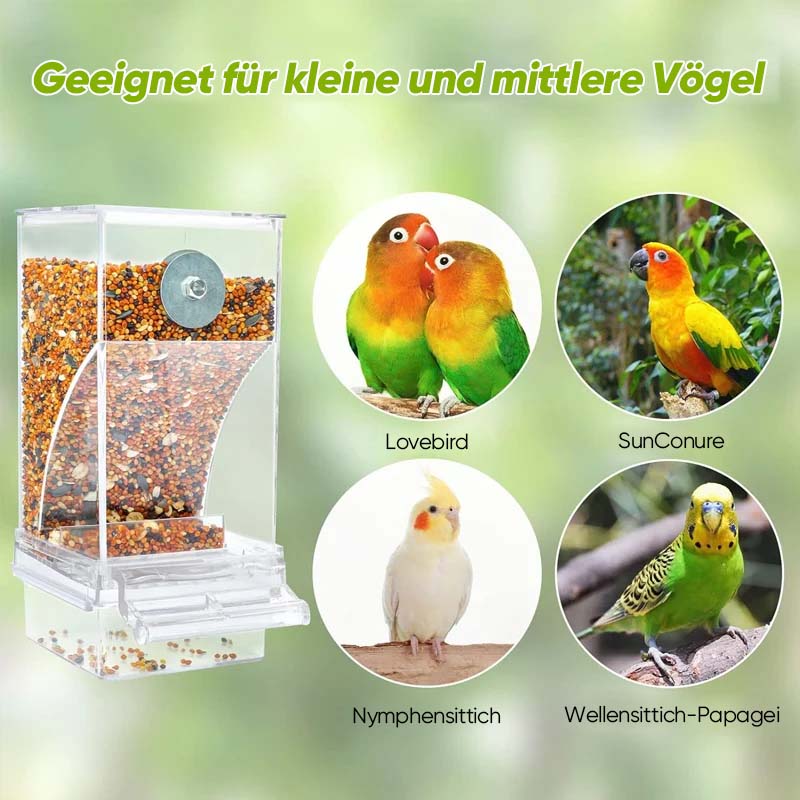 Automatischer, auslaufsicherer Vogelfutterspender | Karnz