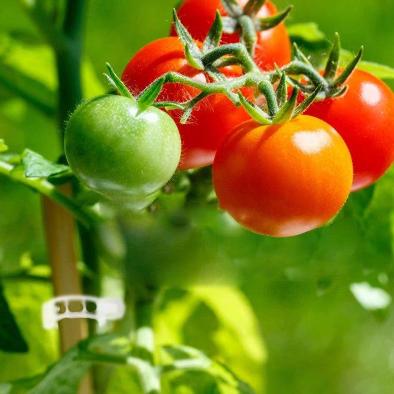 Teile - TigeStabilisatoren Stellen Sie sicher, dass Ihr Garten stabil und fest ist | Karnz