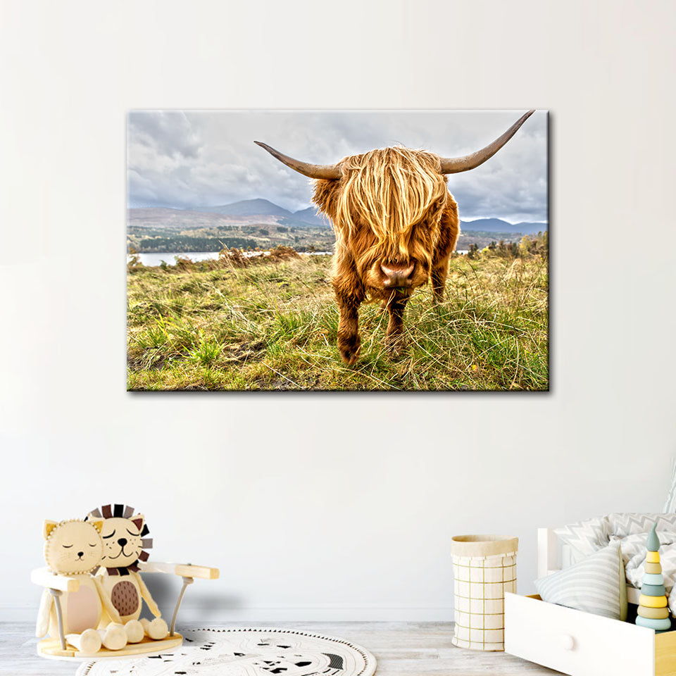 Niedliche Wildkuh – Leinwandbild