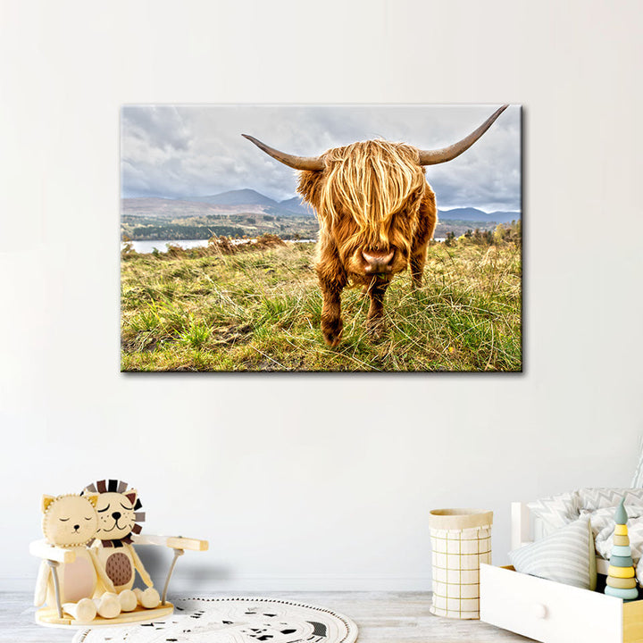 Niedliche Wildkuh – Leinwandbild