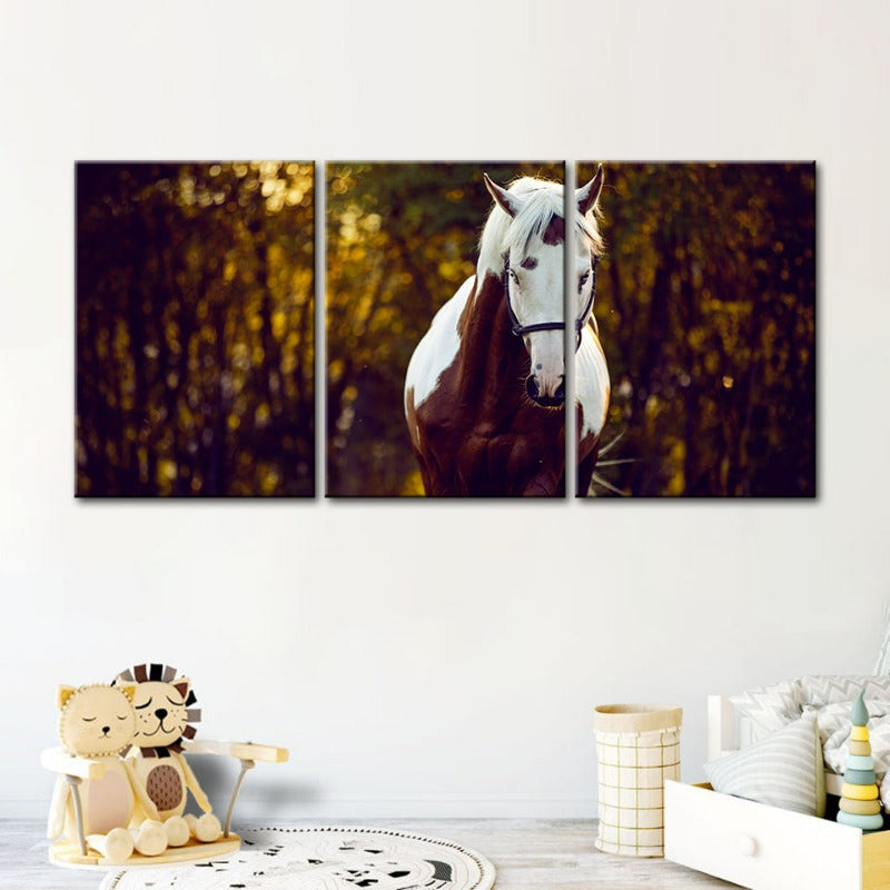 Courtly Overo Pferd – Leinwandbild, 3-teilig