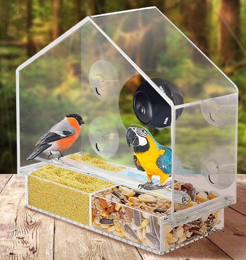 Smart Bird Feeder mit Live-Kamera | Karnz