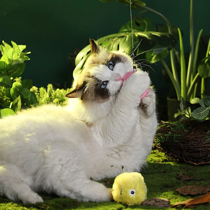 – Intelligenter interaktiver Plüschball für Katzen | 1 kaufen, 1 gratis dazu 🎁