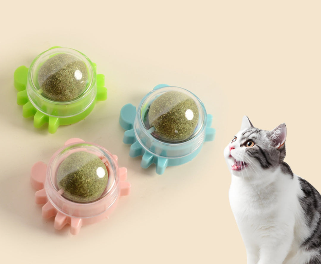 Sandsberg | Katzenminze Ball Katzenspielzeug