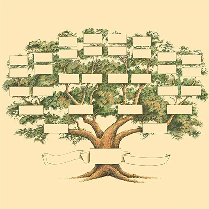 Familienstammbaum Genealogie Diagramm | Karnz