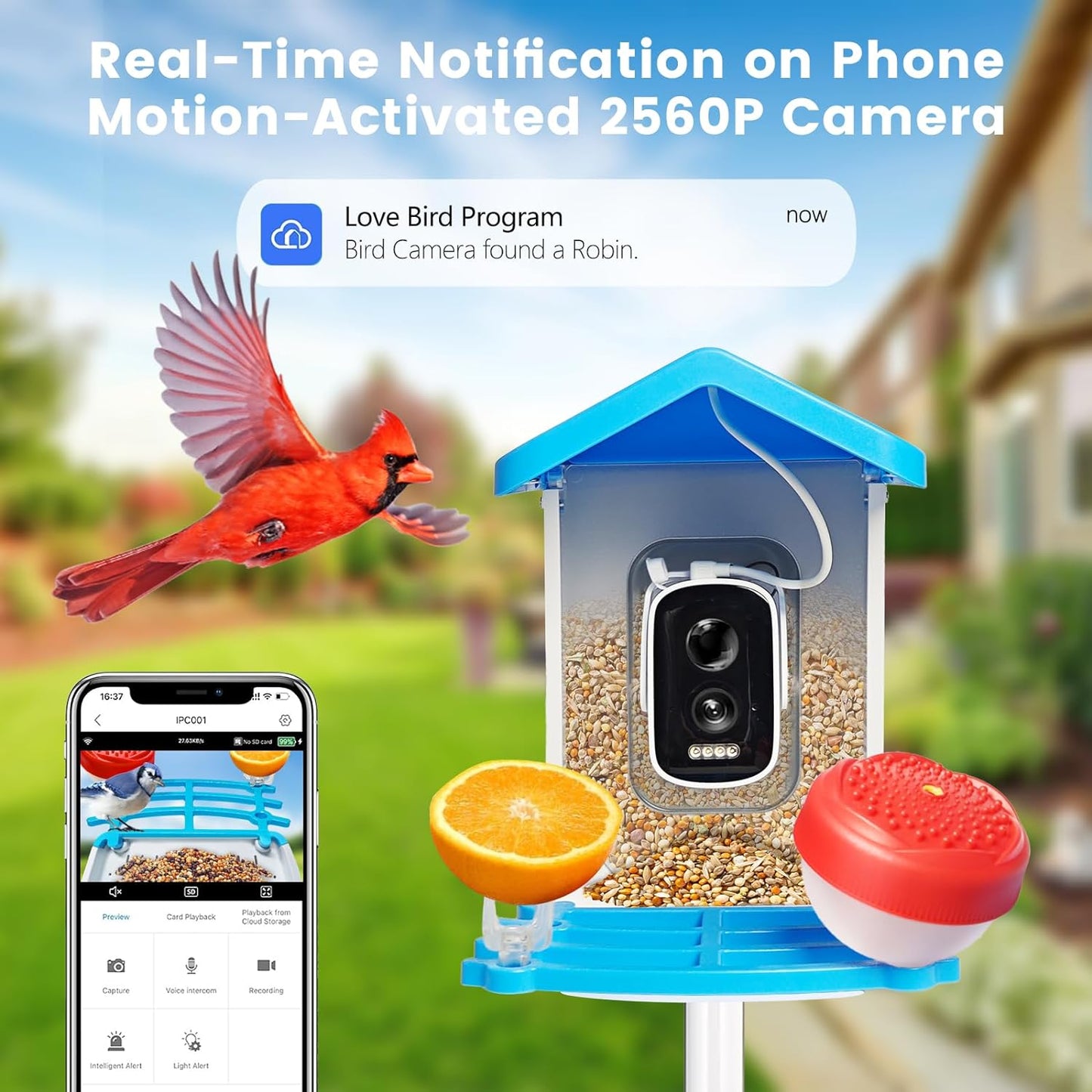 Smart Bird Feeder mit Solar-Kamera – KI-Vogelerkennung & Nachtsicht | Karnz