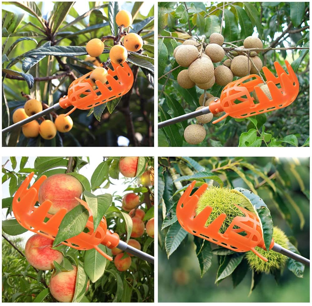 Fruit Picker | Karnz