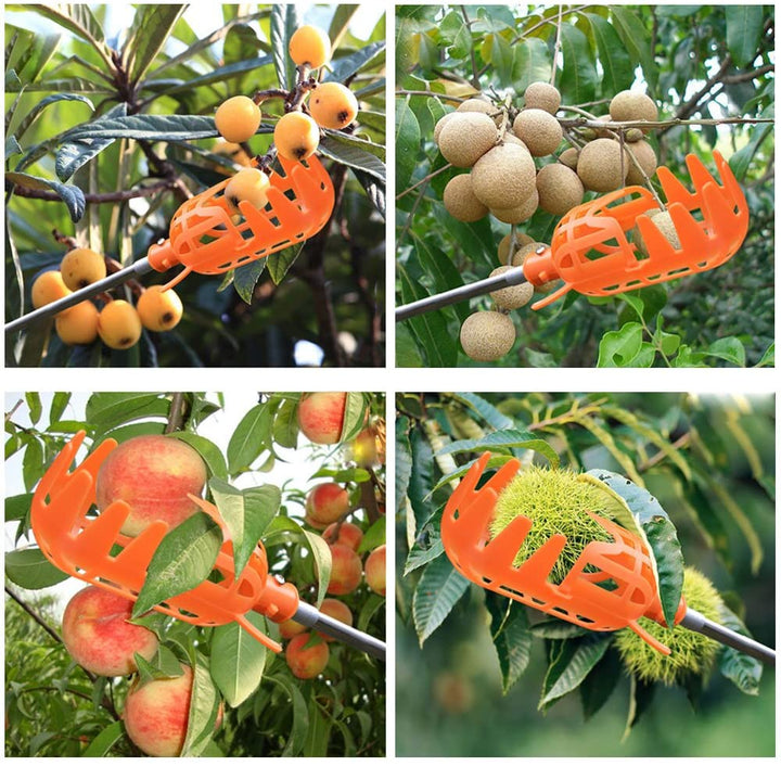 Fruit Picker | Karnz