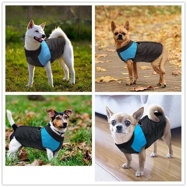 Winter Warme Wasserdichte Hundeweste mit Reißverschluss (Gr.S-7XL)