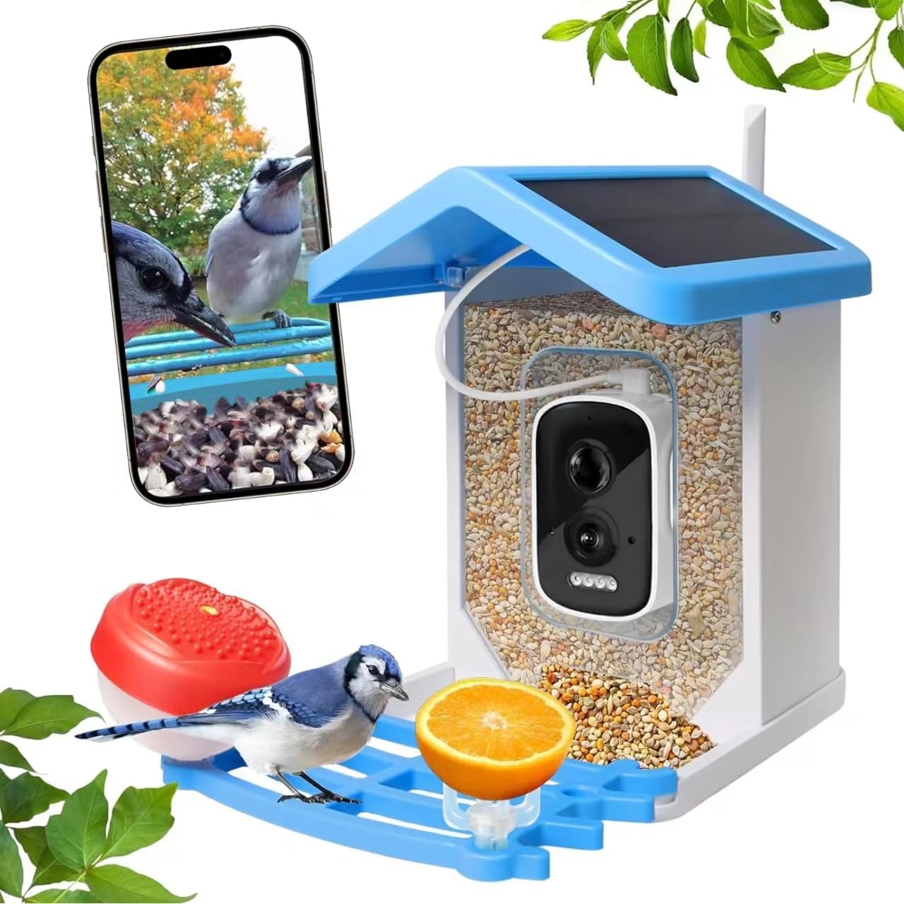 Smart Bird Feeder mit Solar-Kamera – KI-Vogelerkennung & Nachtsicht | Karnz