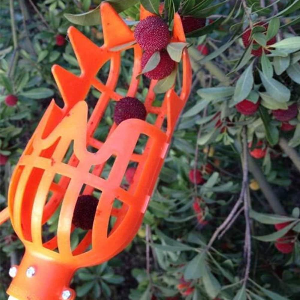 Fruit Picker | Karnz