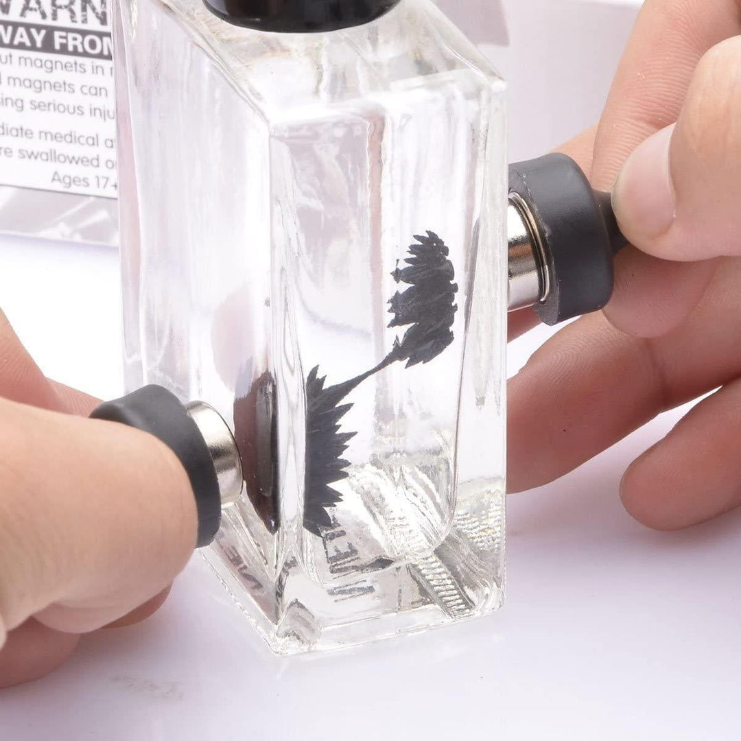Ferrofluid Magnetisches Display Spielzeug | Karnz