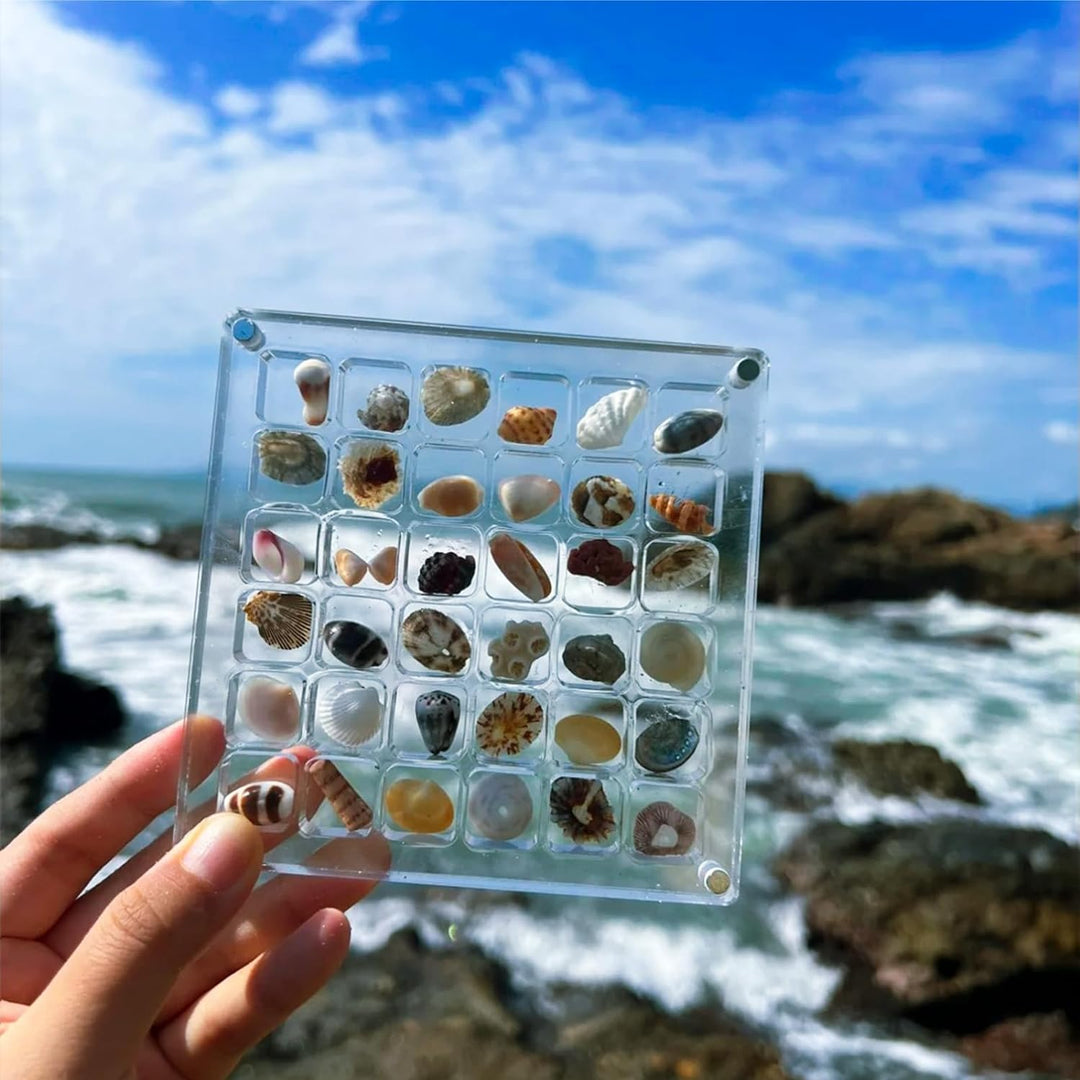 Acryl-Schatzhüter | Bewahren Sie Ihre Sea-Kollektion stilvoll auf | Karnz
