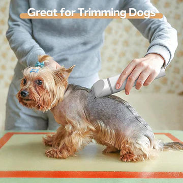 Hundefriseur-Scheren-Set