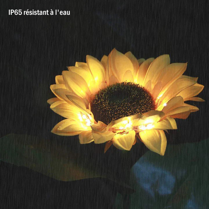 Sonnenblume Licht, 2-teilig | Karnz