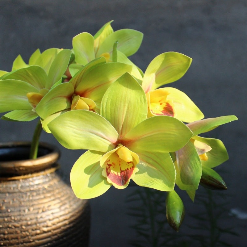Dekorative Orchidee