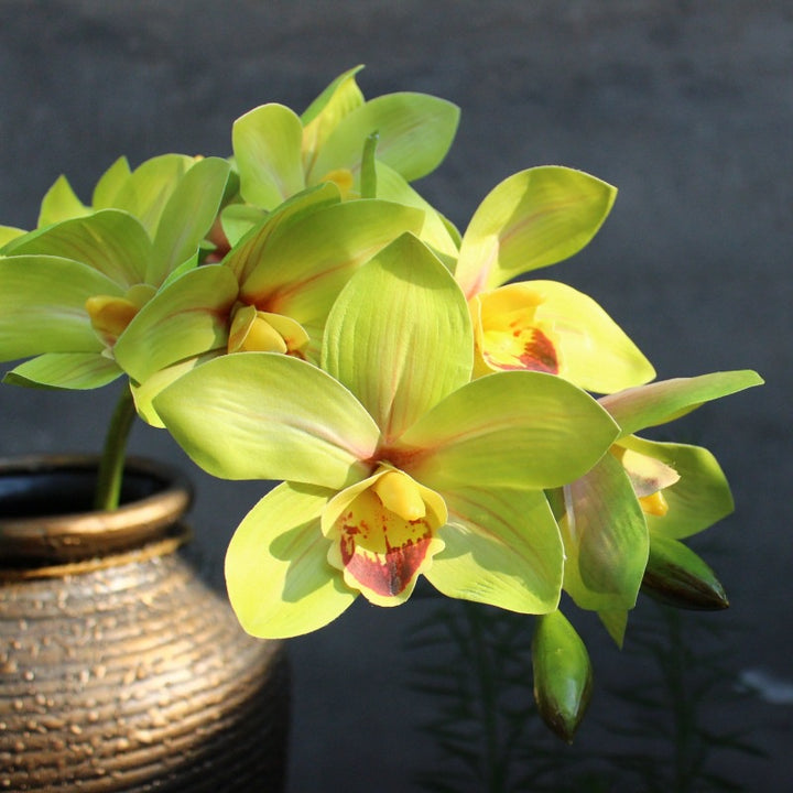 Dekorative Orchidee