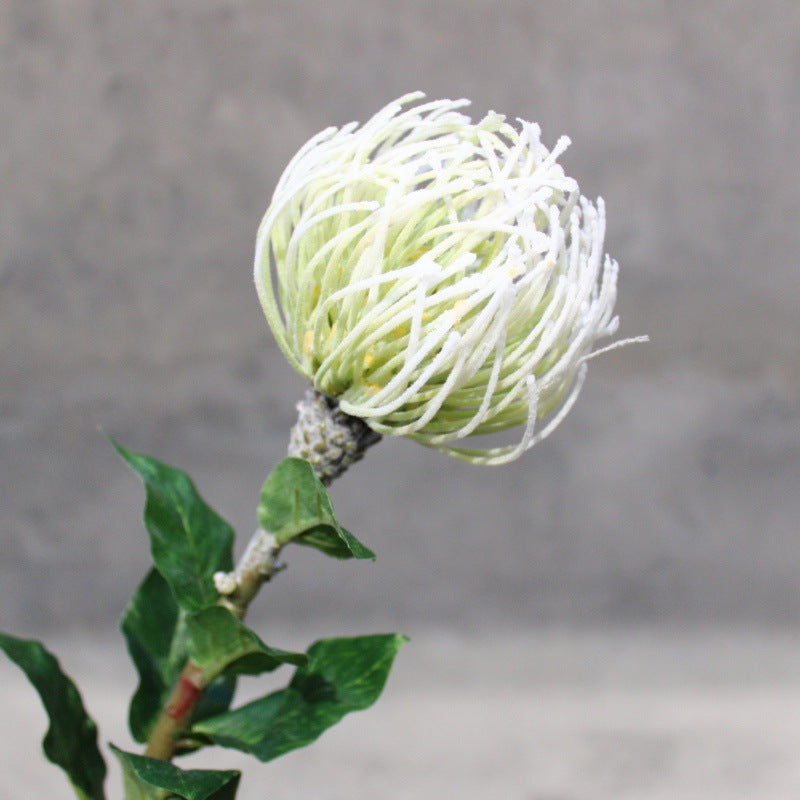 Realistische Protea-Blumenstiel