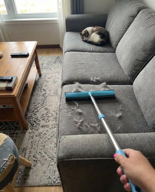 FurCleer — Mach Schluss mit Tierhaaren und fühl dich frei in deinem Zuhause | Karnz