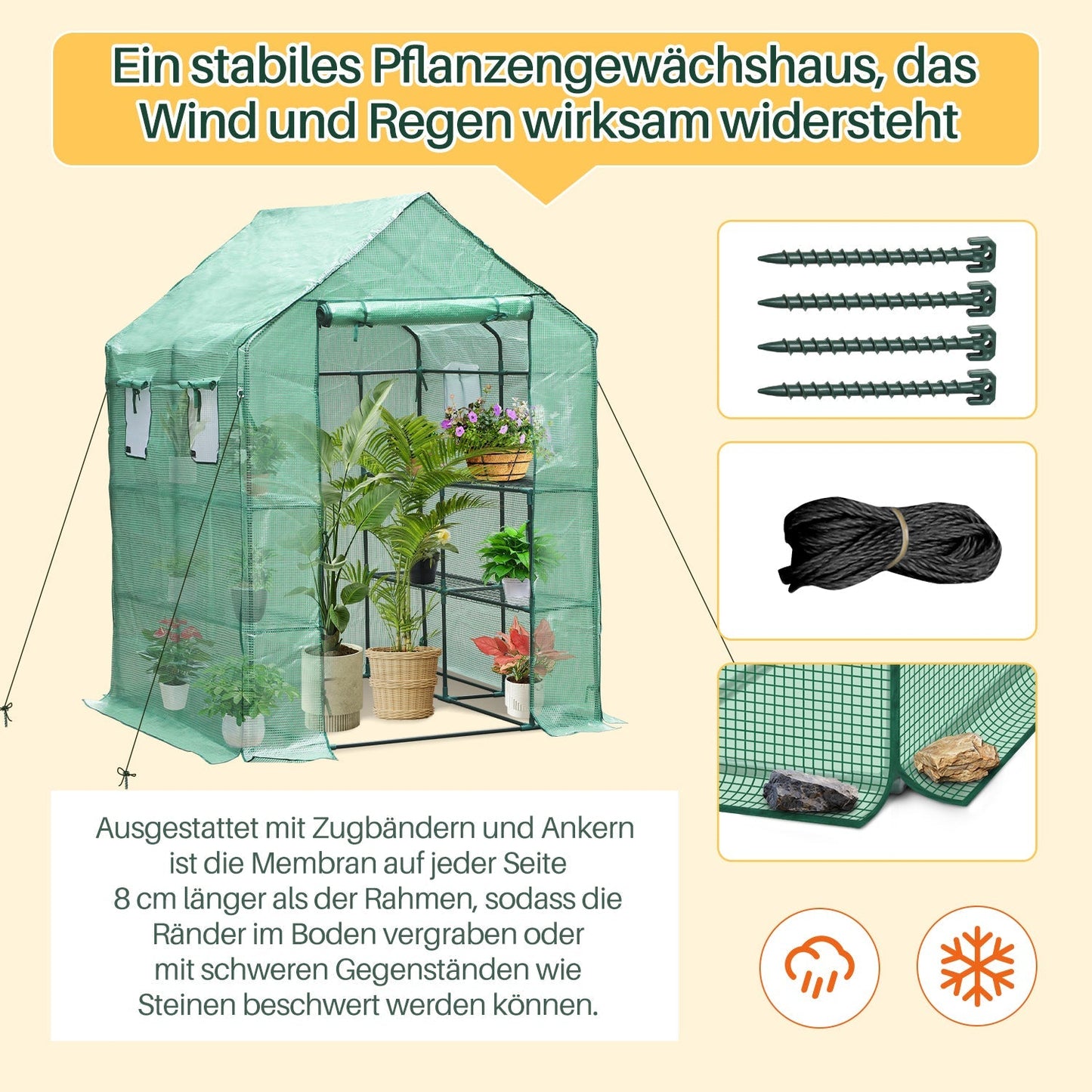 Gewächshaus Foliengewächshaus mit Regalen | Karnz