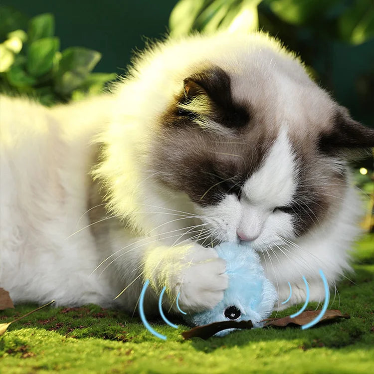 – Intelligenter interaktiver Plüschball für Katzen | 1 kaufen, 1 gratis dazu 🎁
