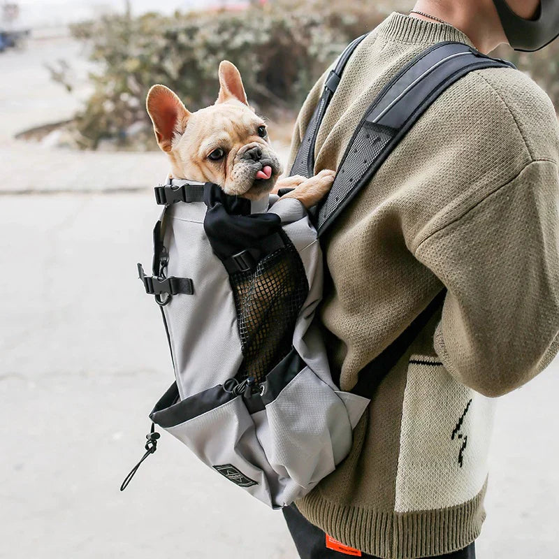 Hunde-Rucksack – Bequeme Tragetasche für mittelgroße Hunde mit Sicherheitsgurt und Aufbewahrungstaschen