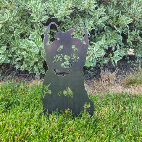 Cairn Terrier | Karnz
