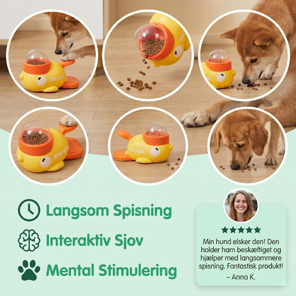 FeediDuck Slow Feeder für Hunde und Katzen | Karnz