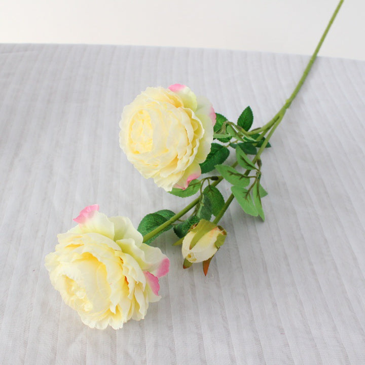 Realistische Pfingstrosenblüte Stem