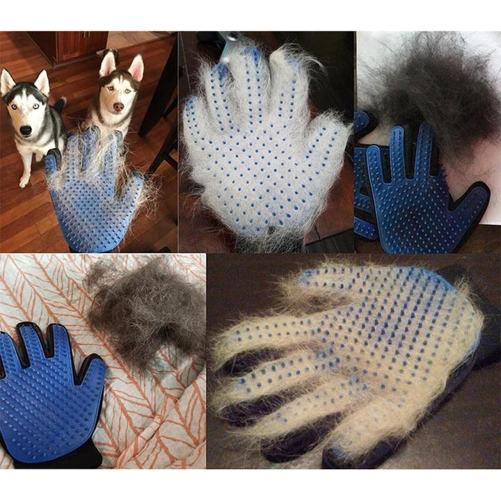 Haushund Reinigungs Handschuhe | Karnz