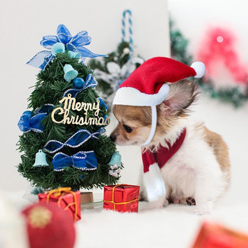 Weihnachtsdekoration Santa Hut mit Schal | Karnz