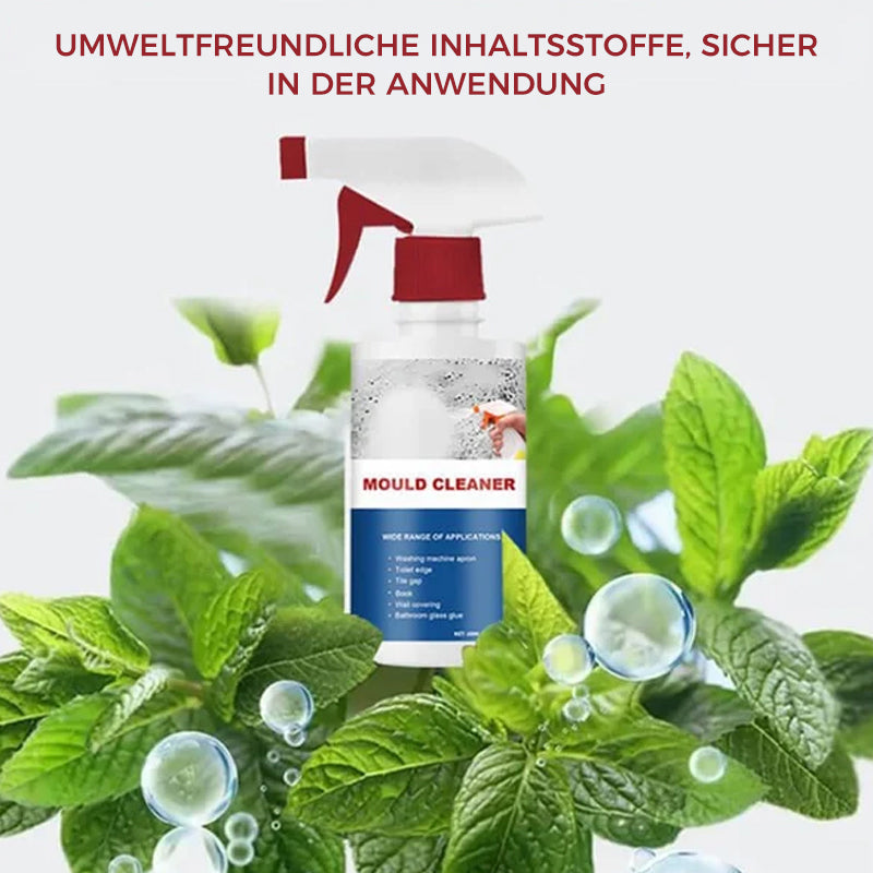 Anti-Schimmel-Reinigungsschaum | Karnz