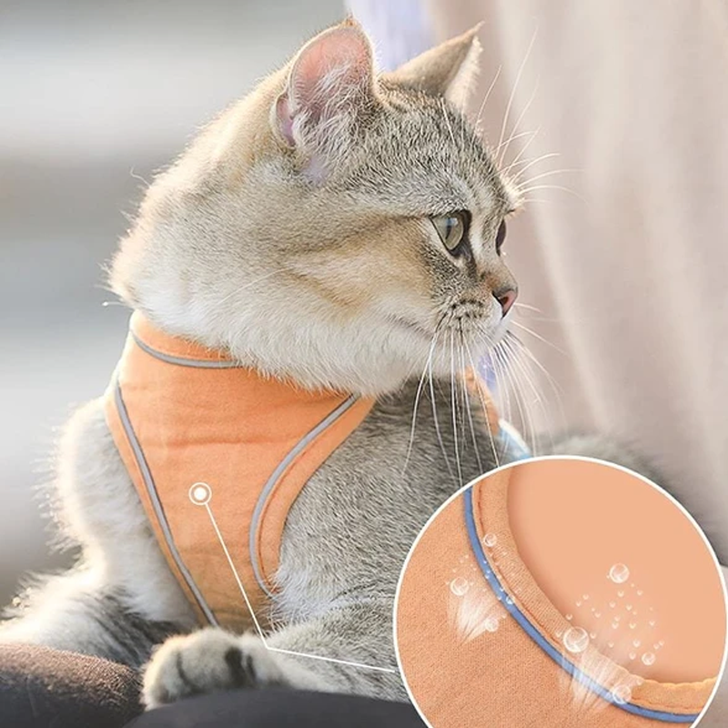 Geschirr- und Leinen-Set für Katzen | Karnz