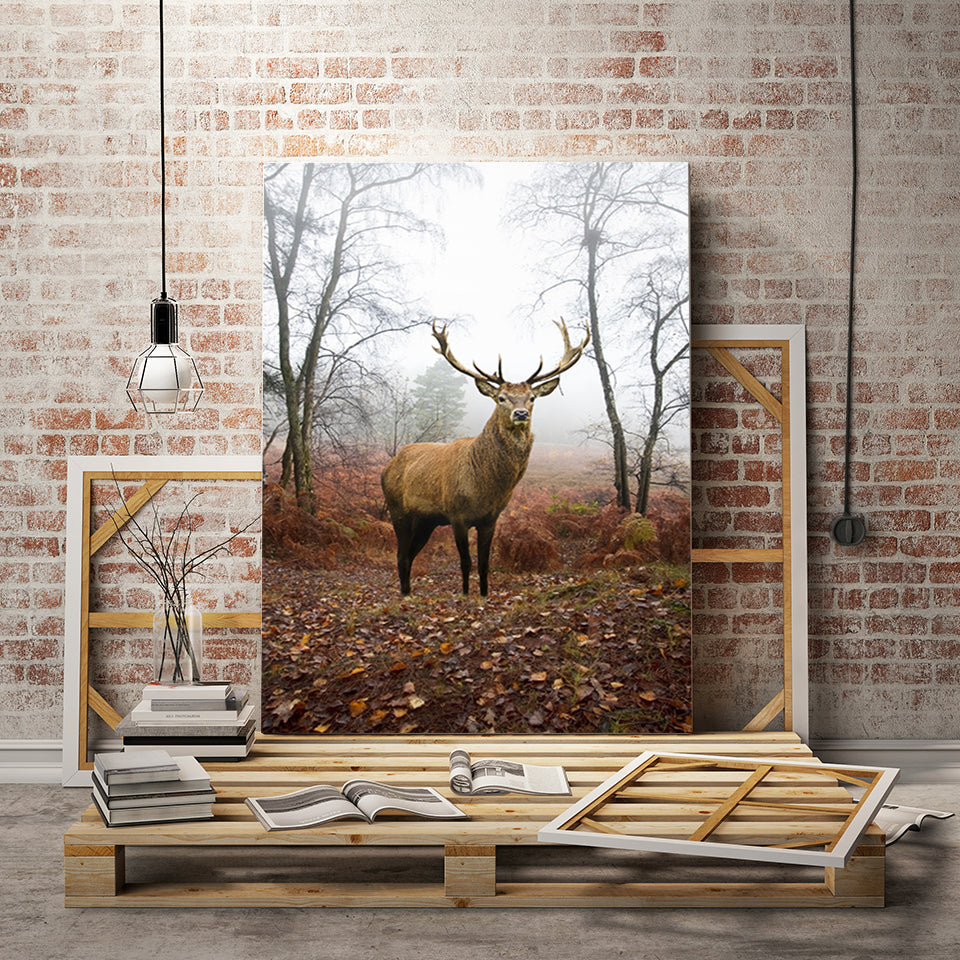 Herbstlicher Hirsch im Nebel - Leinwandbild