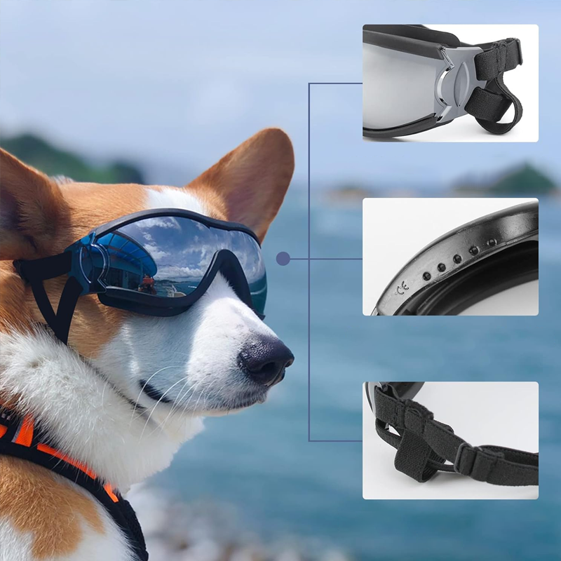 Outdoor-Schutzbrille für Hunde