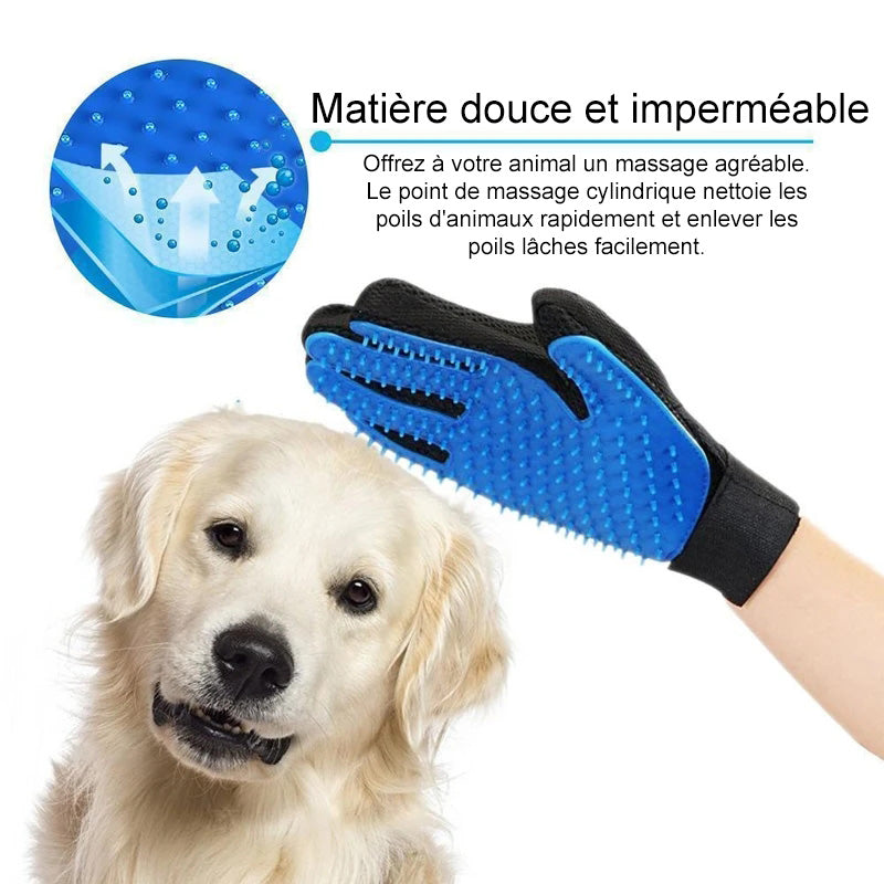 Haushund Reinigungs Handschuhe | Karnz