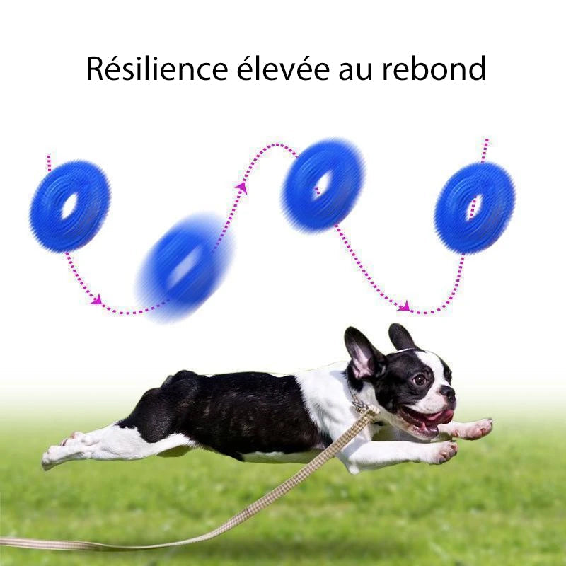 Vocal Ball Spielzeug für Hunde zum Beißen | Karnz