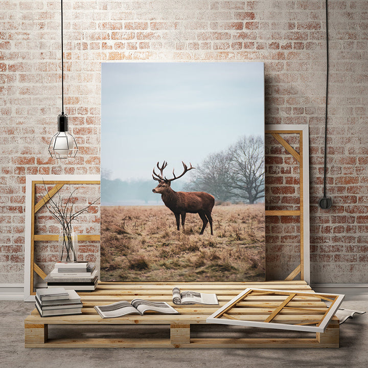 Majestätischer Hirsch in der Ebene - Leinwandbild