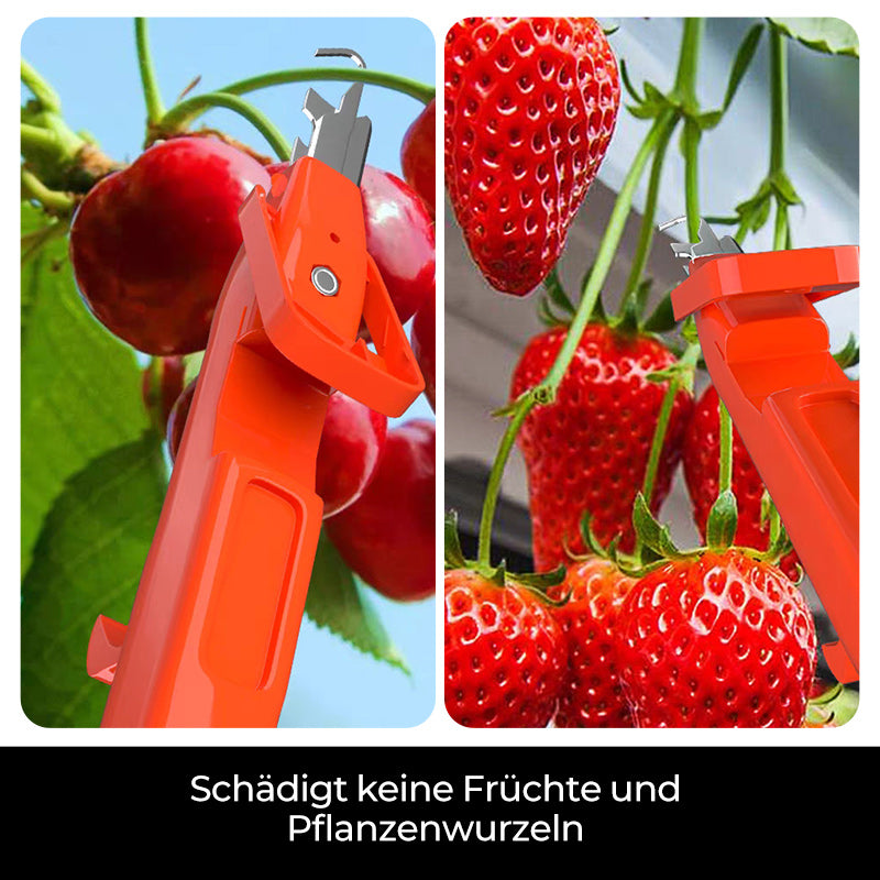 Effiziente Pfeffersammel Werkzeuge | Karnz